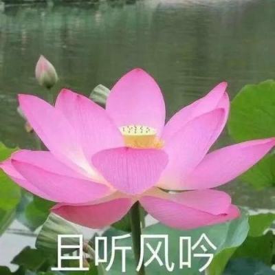 深圳新增一名奥密克戎病例 轨迹所涉妇幼保健院停诊